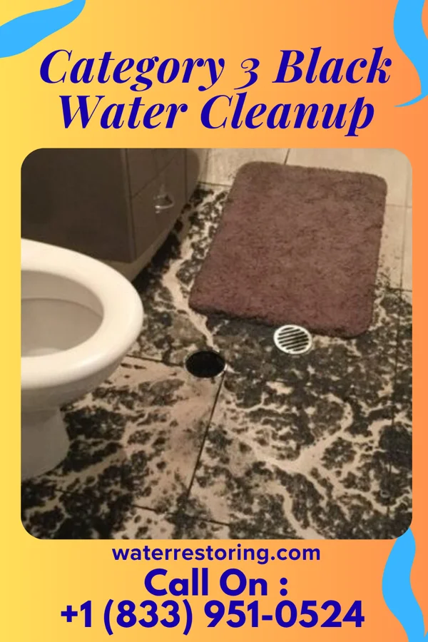 Category 3 Black Water Cleanup in Sunnyside-Tahoe City, CA