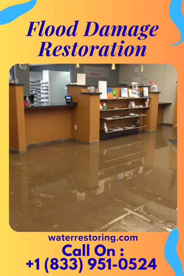 Flood Damage Restoration in Sunnyside-Tahoe City, CA